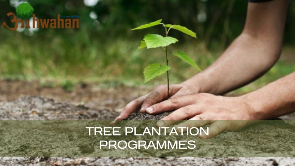 Tree Plantation NGO