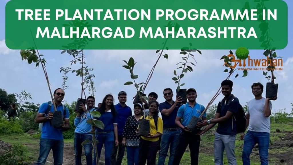 Tree Plantation Programme in Malhargad Maharashtra