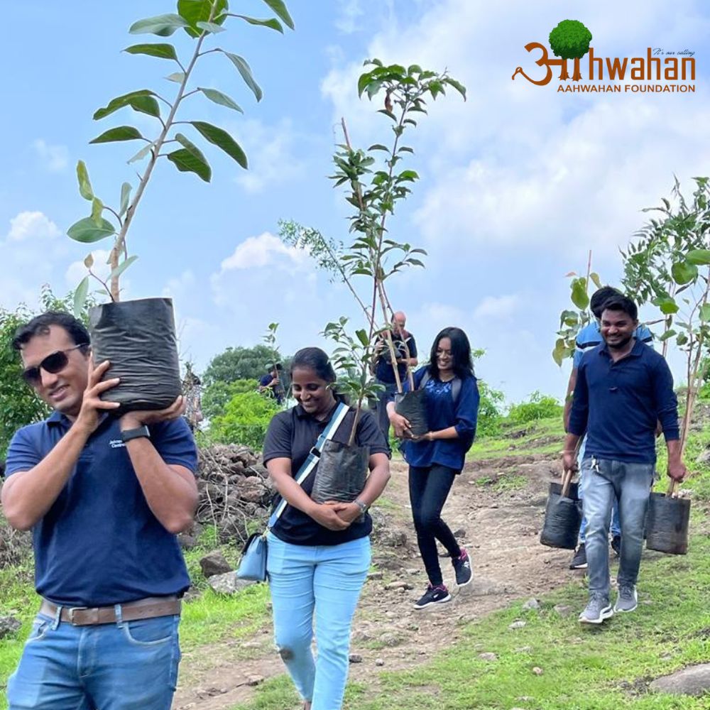 Tree Plantation Programmed in Malhargad Maharashtra
